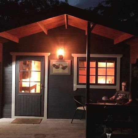 شقة Unique Tiny House Near 3 Peaks - The Zedshed Bentham المظهر الخارجي الصورة