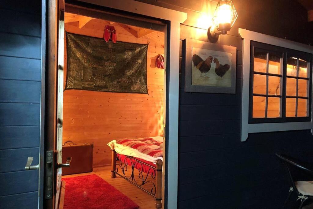 شقة Unique Tiny House Near 3 Peaks - The Zedshed Bentham المظهر الخارجي الصورة